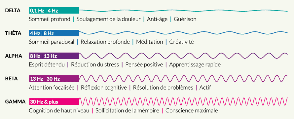 ondes alpha